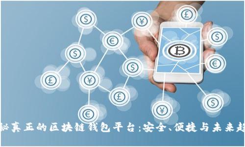 揭秘真正的区块链钱包平台：安全、便捷与未来趋势