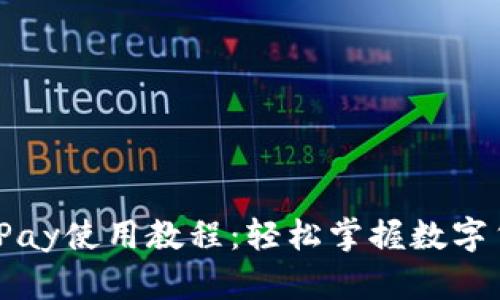 比特币钱包BitPay使用教程：轻松掌握数字货币存储与支付
