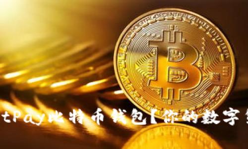 为什么选择BitPay比特币钱包？你的数字货币安全首选！