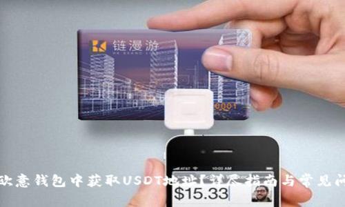 如何在欧意钱包中获取USDT地址？详尽指南与常见问题解答