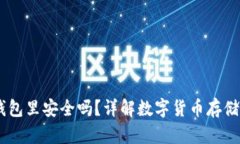 USDT放到钱包里安全吗？详