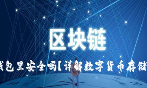 USDT放到钱包里安全吗？详解数字货币存储与安全策略