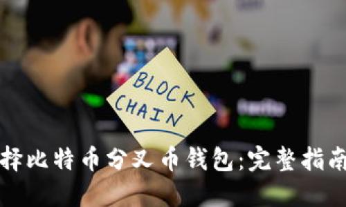 如何选择比特币分叉币钱包：完整指南与推荐