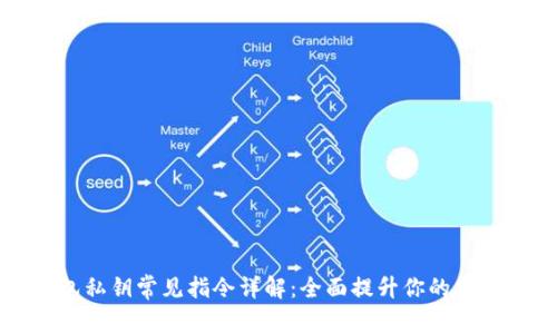比特币钱包私钥常见指令详解：全面提升你的加密资产安全