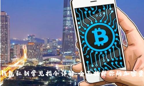 比特币钱包私钥常见指令详解：全面提升你的加密资产安全
