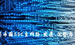 全面解析币圈BSC主网络：