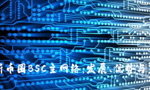 全面解析币圈BSC主网络：发展、优势与未来趋势