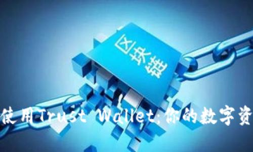 如何下载和使用Trust Wallet：你的数字资产安全之旅