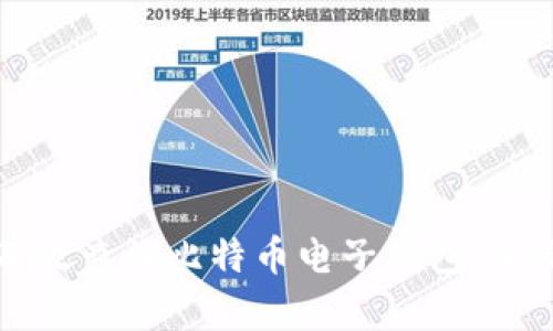 如何有效查询比特币电子钱包：全面指南