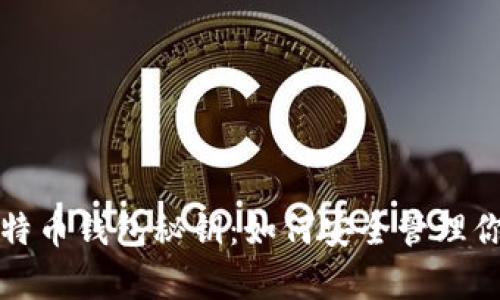 全面解析比特币钱包秘钥：如何安全管理你的数字资产