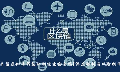 采集虚拟币钱包私钥究竟安全吗？深度解析与风险提示