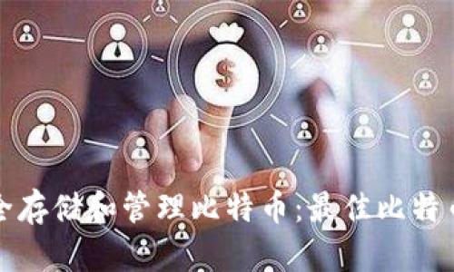 如何在iPad上安全存储和管理比特币：最佳比特币钱包的选择指南