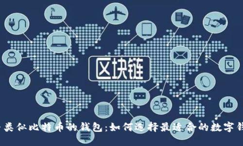 探寻类似比特币的钱包：如何选择最适合的数字钱包?