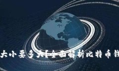 比特币钱包大小要多大？