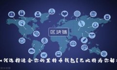 如何选择适合你的莱特币