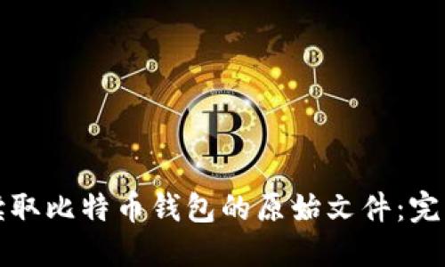 如何读取比特币钱包的原始文件：完整指南