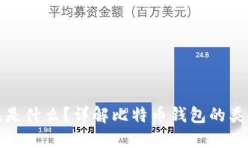 比特币钱包是什么？详解比特币钱包的类型与安全性