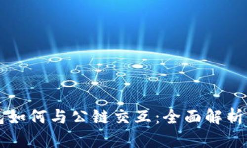 区块链钱包如何与公链交互：全面解析与实用指南