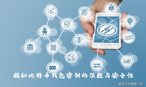 揭秘比特币钱包密钥的位数与安全性