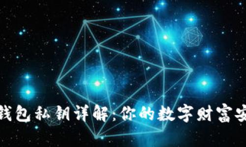 : 比特币钱包私钥详解：你的数字财富安全守护者