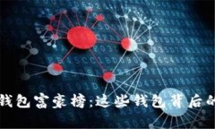 揭秘比特币钱包富豪榜：