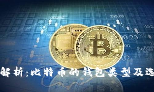 全方位解析：比特币的钱包类型及选择指南