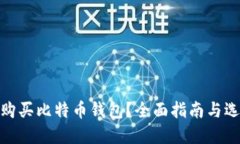 在哪里购买比特币钱包？全面指南与选购建议