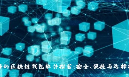 最好的区块链钱包软件推荐：安全、便捷与选择指南