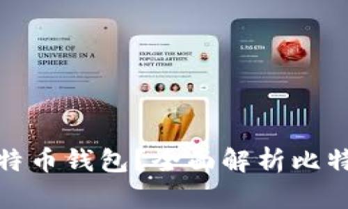 如何选择最适合你的比特币钱包？全面解析比特币钱包的类型和安全性
