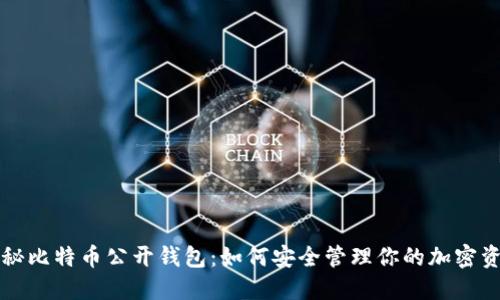 揭秘比特币公开钱包：如何安全管理你的加密资产