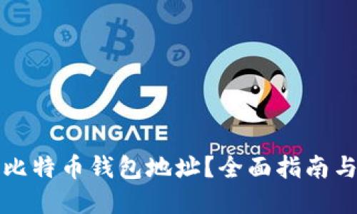 如何查询比特币钱包地址？全面指南与实用技巧