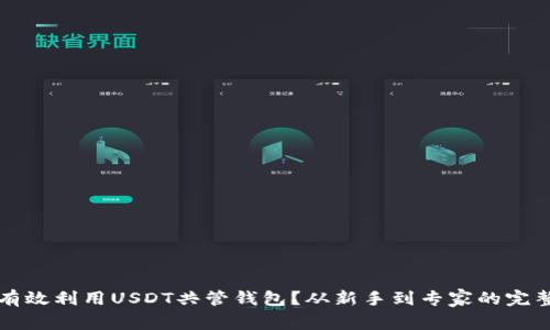 如何有效利用USDT共管钱包？从新手到专家的完整指南