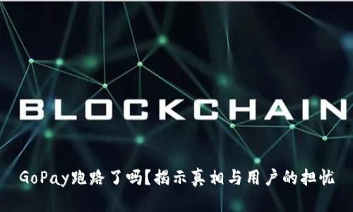GoPay跑路了吗？揭示真相与用户的担忧