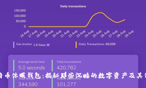 比特币休眠钱包：揭秘那些沉睡的数字资产及其价值