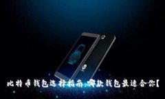 比特币钱包选择指南：哪