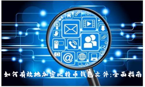 如何有效地加密比特币钱包文件：全面指南