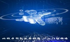 比特币钱包使用指南：从