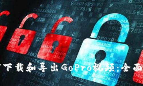 如何下载和导出GoPro视频：全面指南