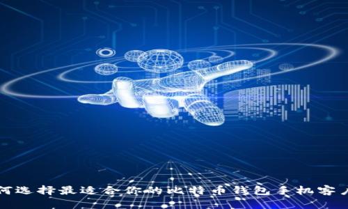 如何选择最适合你的比特币钱包手机客户端