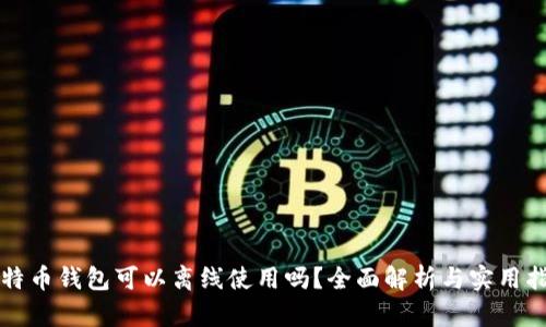 比特币钱包可以离线使用吗？全面解析与实用指南