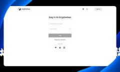 以太坊钱包中的代币发行