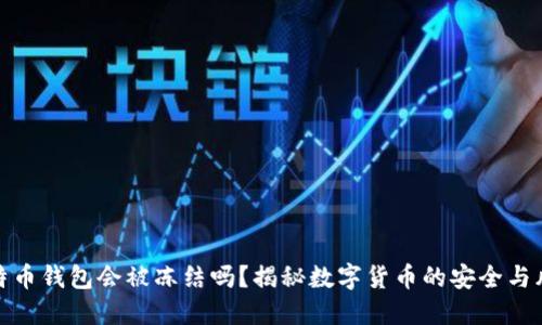 比特币钱包会被冻结吗？揭秘数字货币的安全与风险