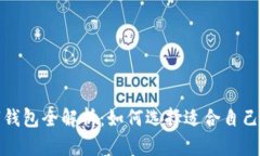比特币数字钱包全解析：如何选择适合自己的钱